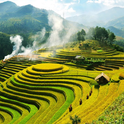 Insight of Vietnam Tour 10 Days 9 Nights