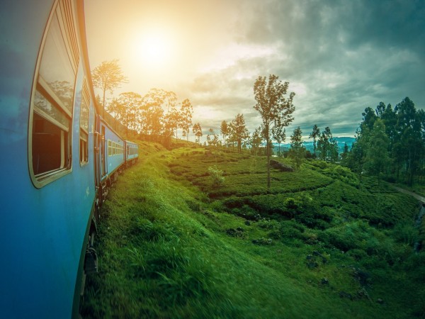 5 Days Sri lanka Tour Package
